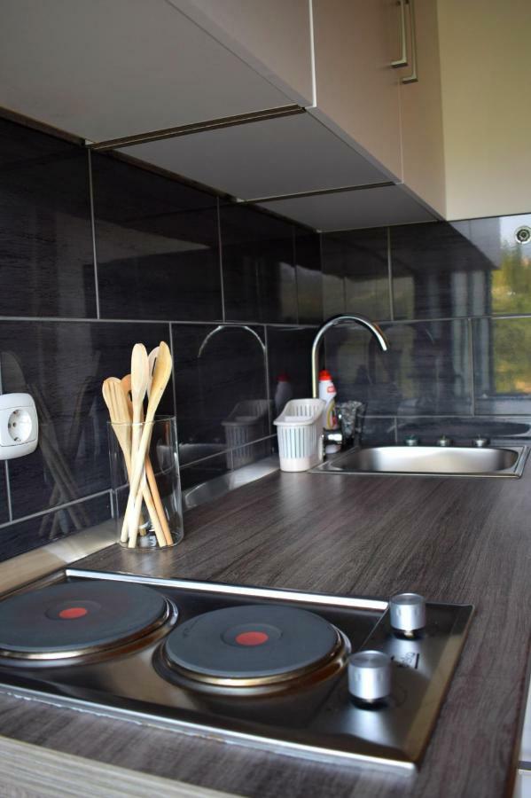 Bini Apartment Molunat
