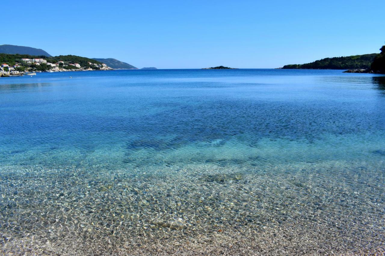 Bini Apartma