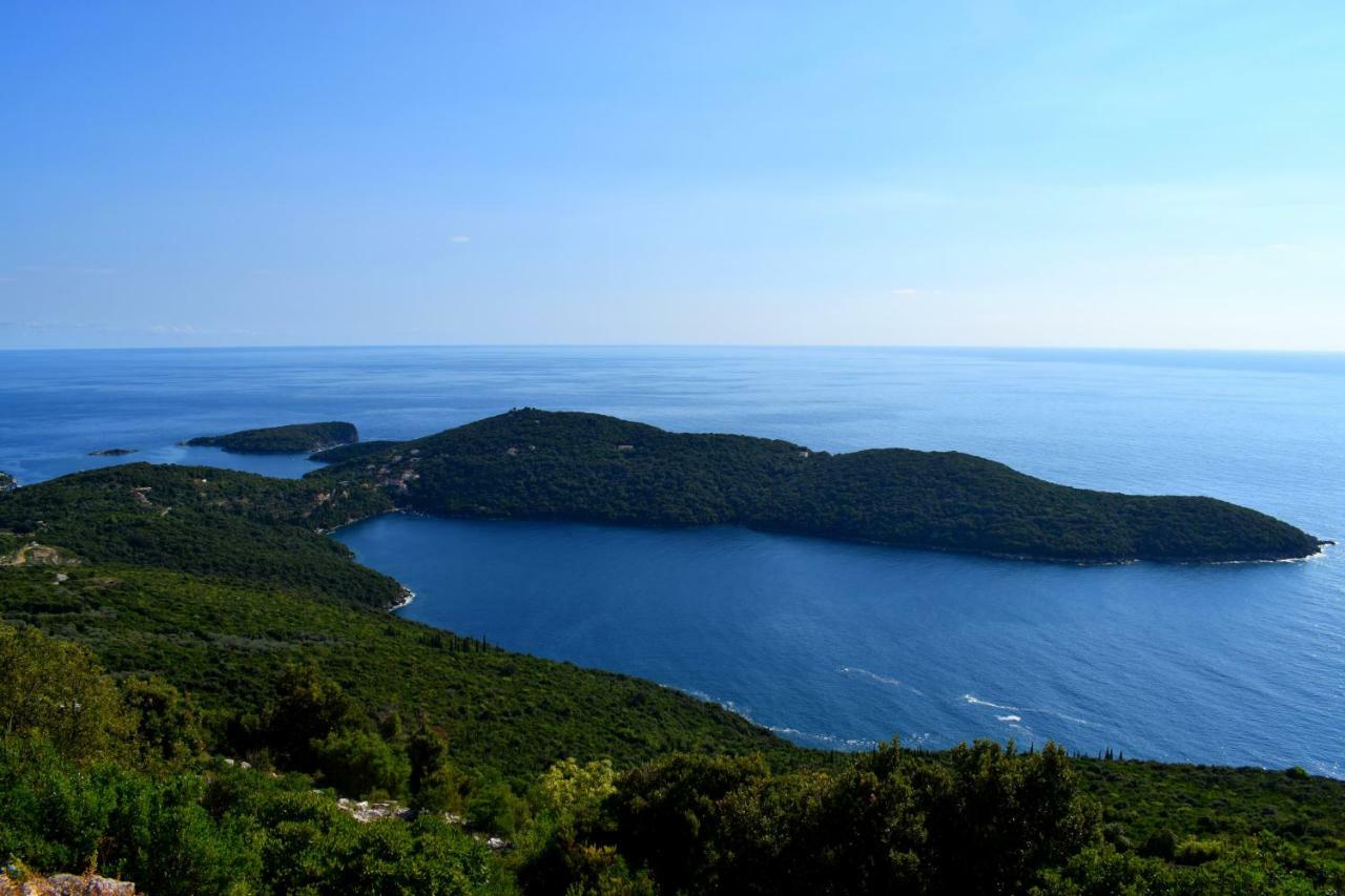 Bini Apartma Molunat